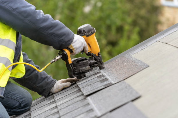 Best Solar Panel Roofing Installation  in Benld, IL