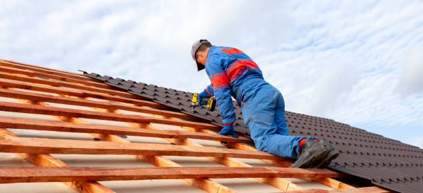 Best Roof Moss and Algae Removal  in Benld, IL